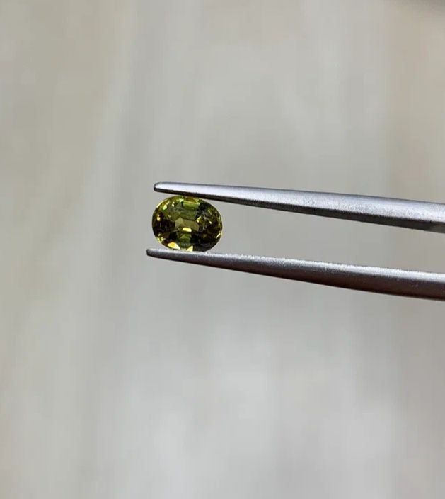 Mali Garnet 0.92 ct