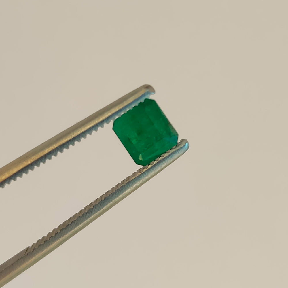 Faceted emerald pair 1.35 ct