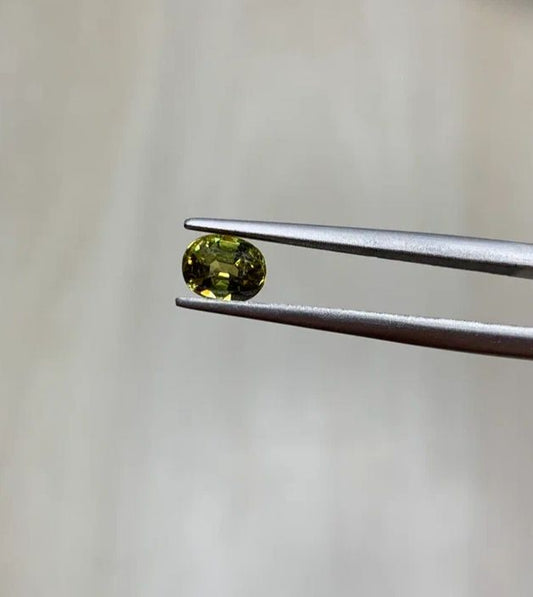 Mali Garnet 0.92 ct