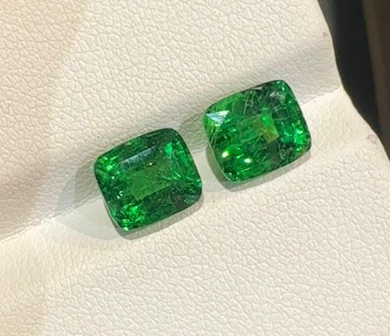 Pair of faceted garnets tsavorite, tsavorite 6.05 ct