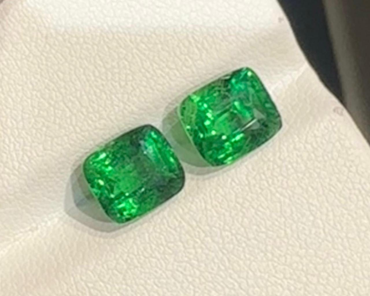 Pair of faceted garnets tsavorite, tsavorite 6.05 ct